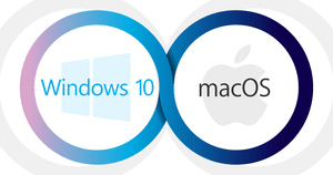 MacとWindowsでのファイル共有方法 | 端末ごとに設定手順を解説